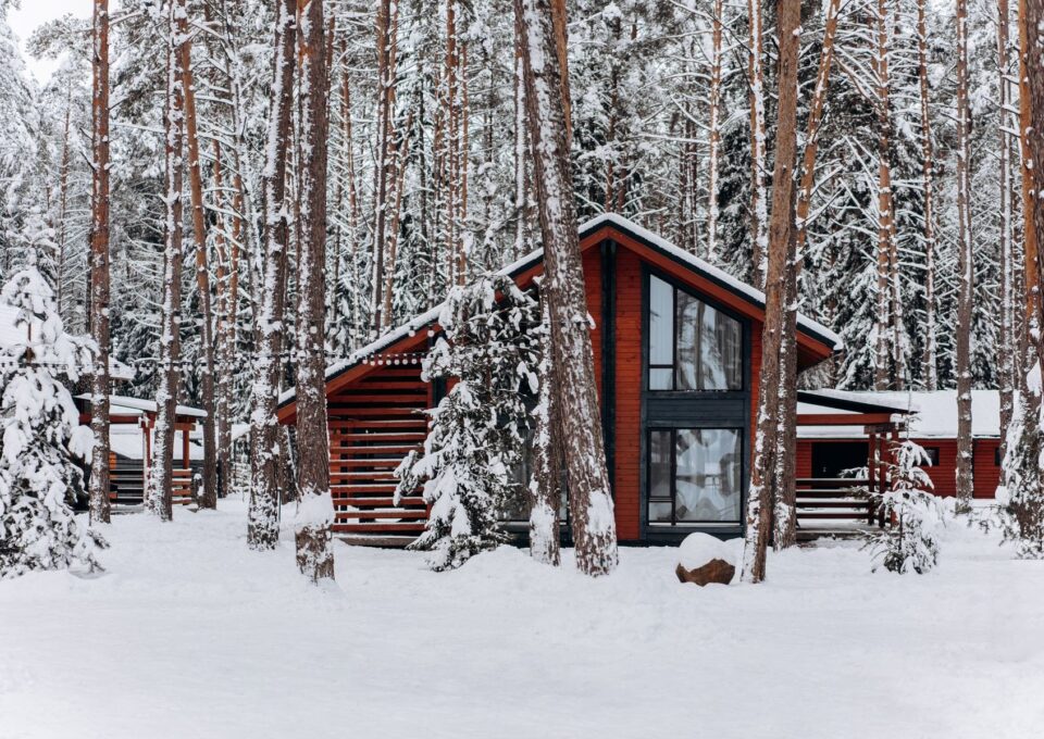 Modern timber cabin among snowy pine trees