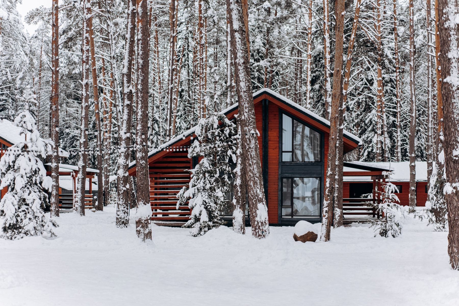 Modern timber cabin among snowy pine trees